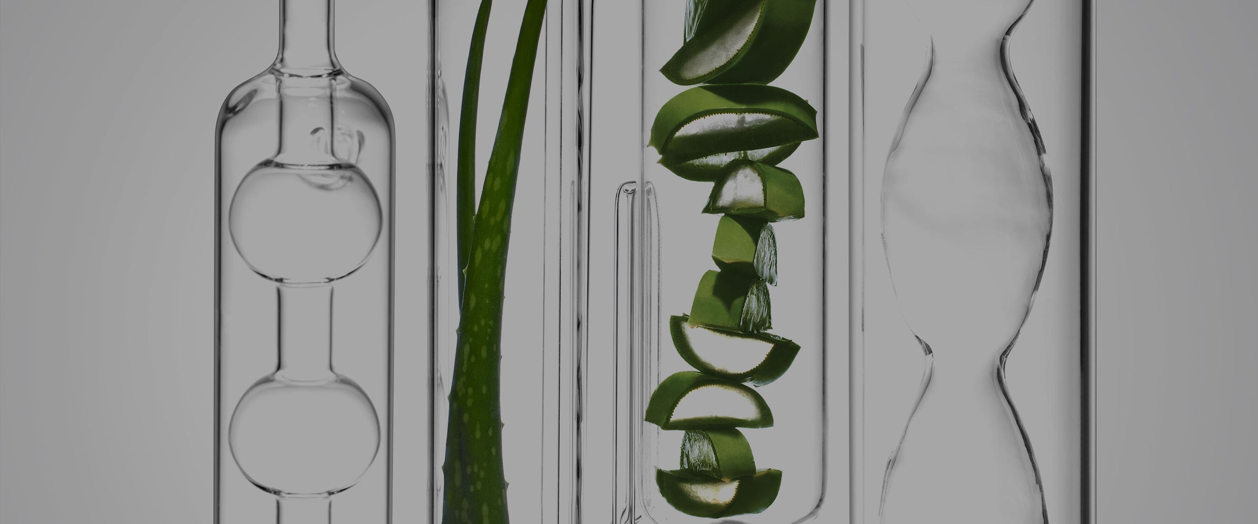 Our Impact Science Banner Desktop