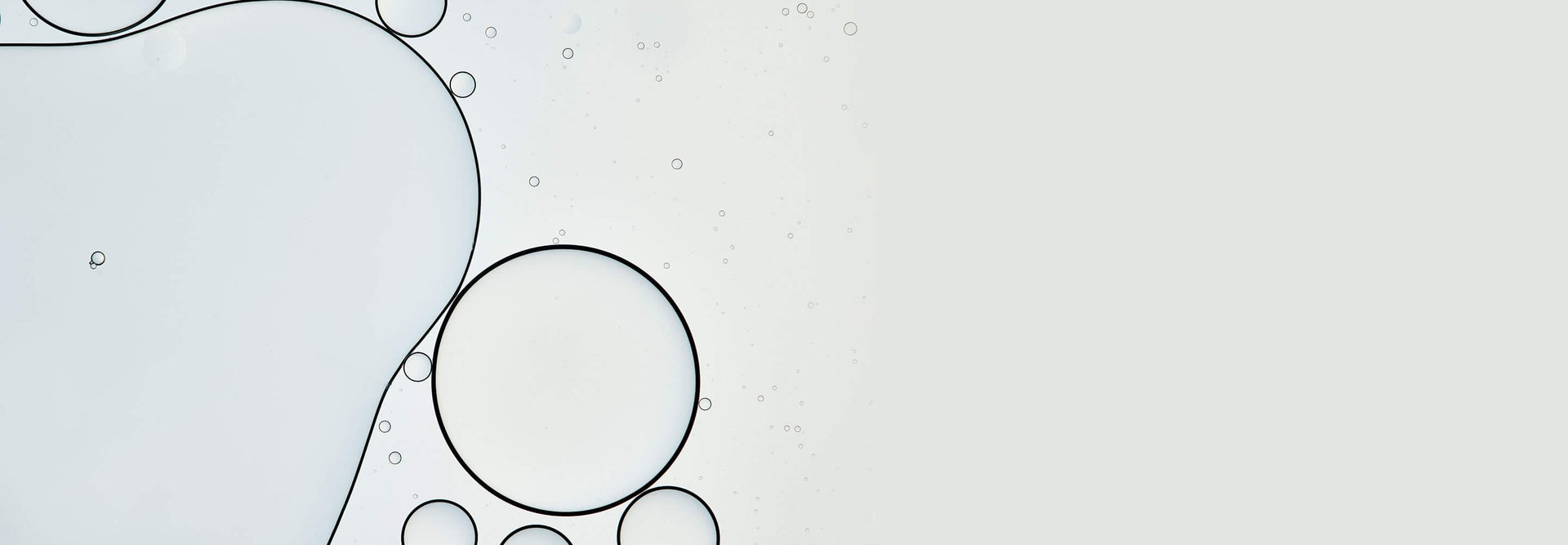 RevitaLash Advanced Disruptor Banner Desktop